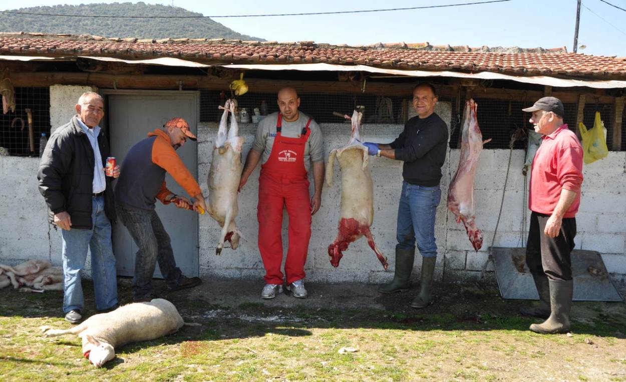 Παραδοσιακές σφαγές αμνοεριφίων στα χωριά του δήμου Φαρκαδόνας