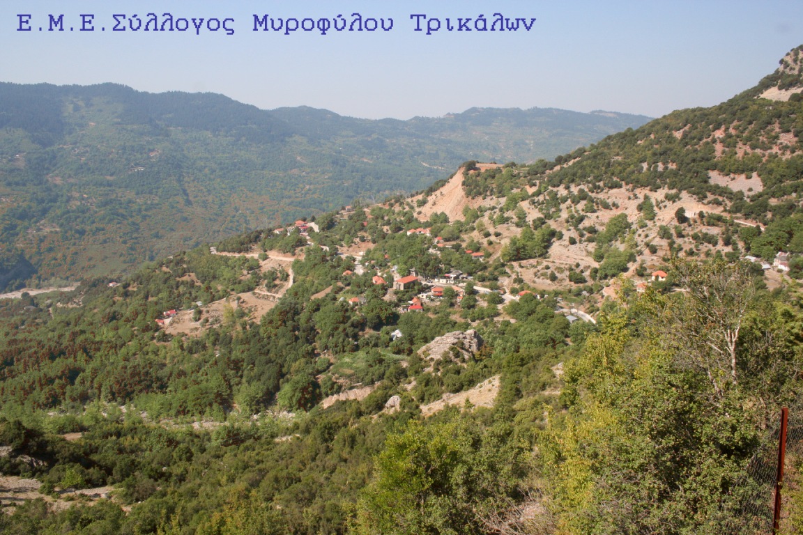 Nέο διοικητικό συμβούλιο στο Σύλλογο Μυροφύλλου Τρικάλων