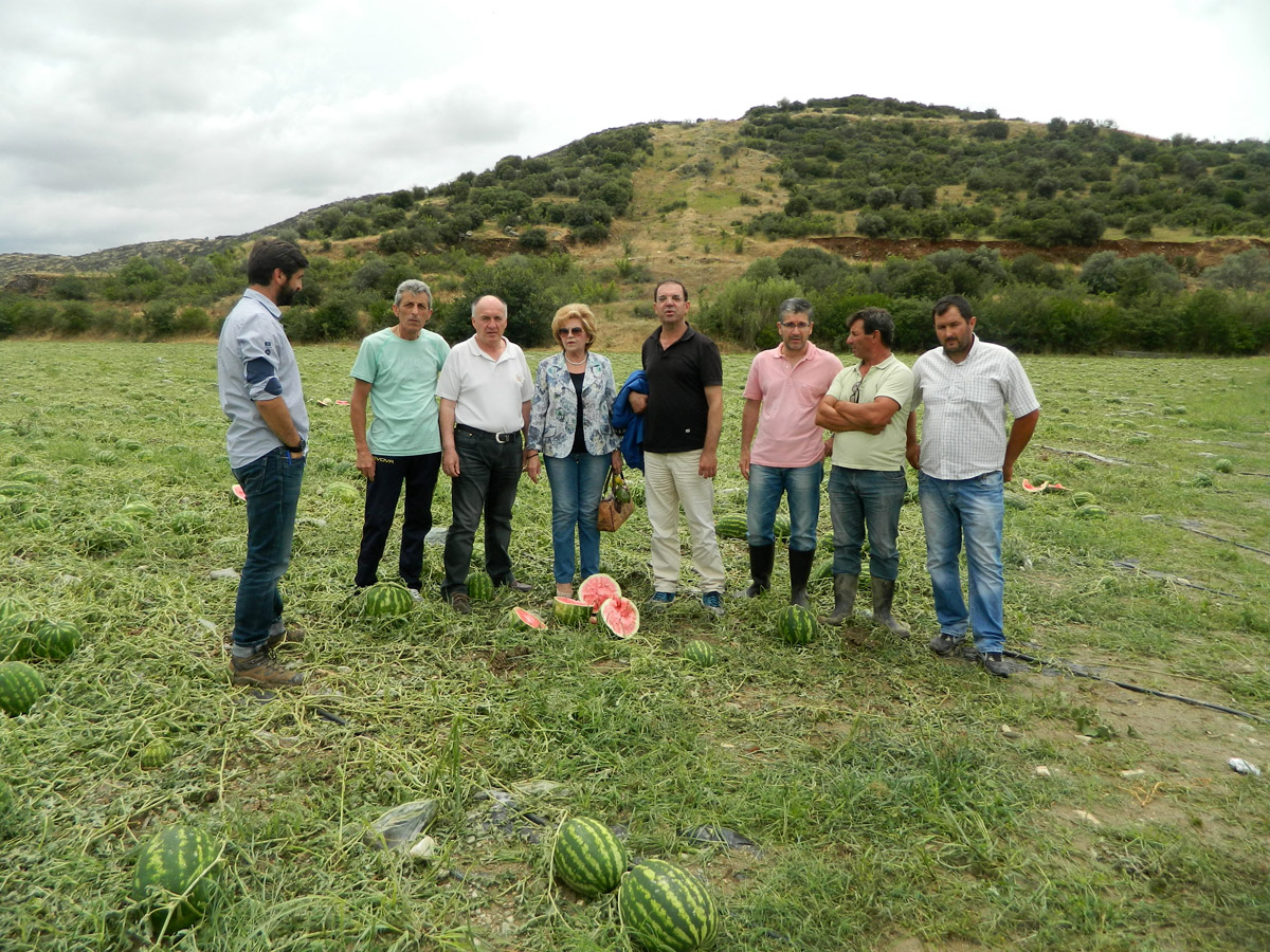 Περισσότερα από 5.000 στρέμματα καλλιεργειών επλήγησαν από τη χαλαζόπτωση στην περιοχή του Μακρυχωρίου  