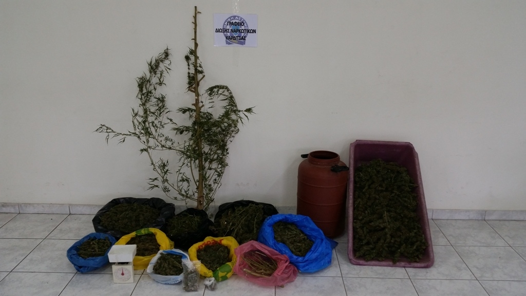 Παλαμάς: 61χρονος καλλιεργούσε κάνναβη