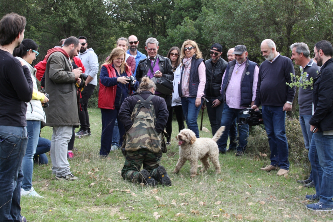 Κυνήγι Τρούφας για τους Ξενοδόχους του Νομού Τρικάλων
