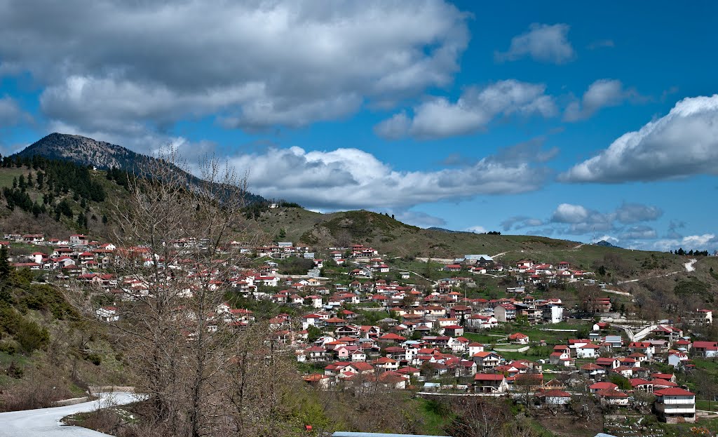 Ενάντιοι στην πιθανή εγκατάσταση προσφύγων στην περιοχή τους οι κάτοικοι της Χρυσομηλιάς 