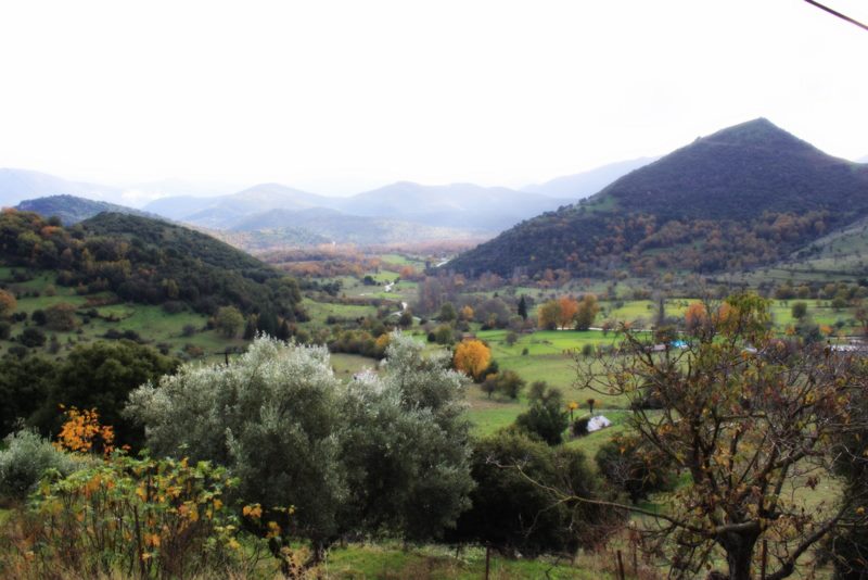 Πεύκο: Το μικρό γραφικό χωριό της Αχαΐας