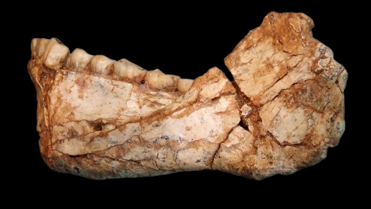 Tα αρχαιότερα απολιθώματα του Homo sapiens στο Μαρόκο