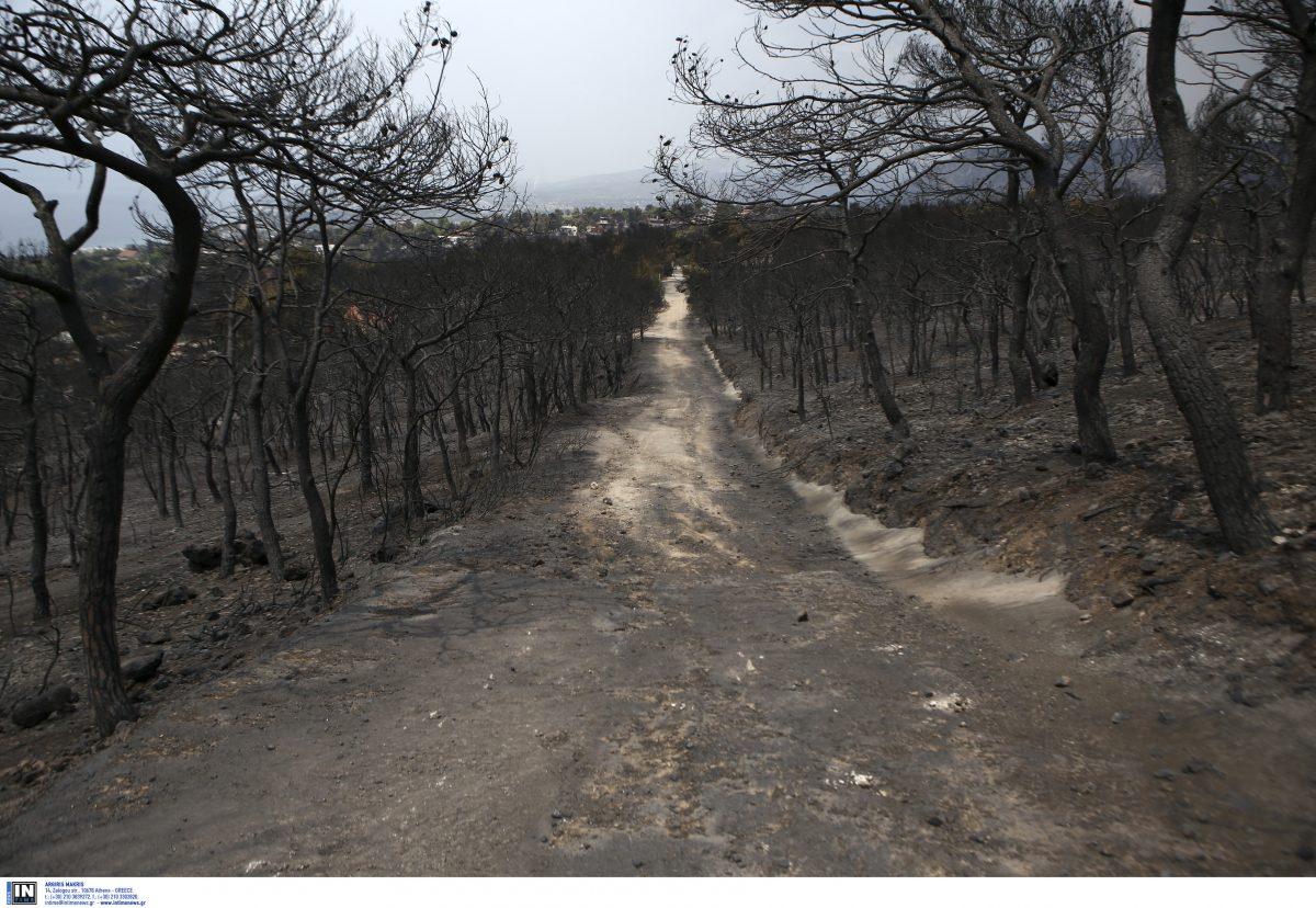 Θα περάσει κι αυτό…