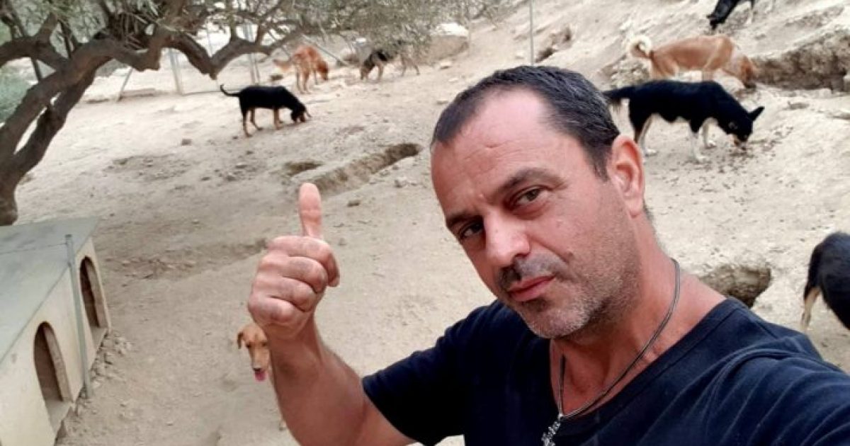 Έλληνας εγκατέλειψε τη νύχτα, ξόδεψε 180.000 ευρώ για τα αδέσποτα και αποθεώθηκε διεθνώς