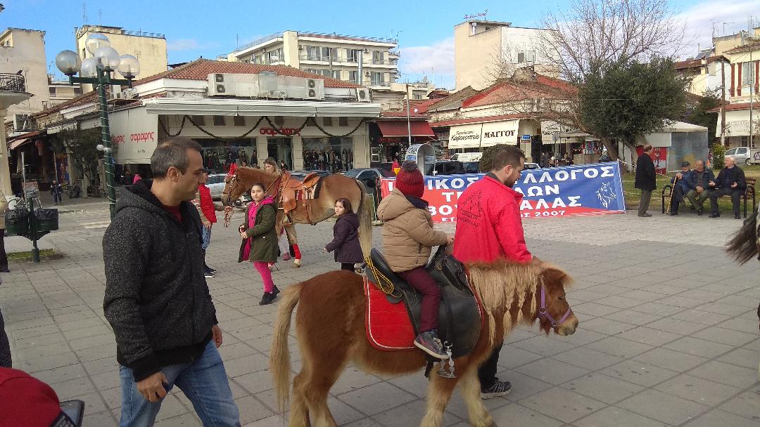 Με τα άλογα του Βουκεφάλα στην κεντρική πλατεία 