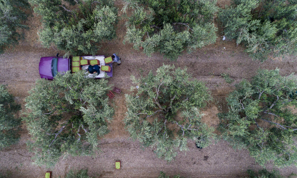 Νέα επιδότηση έως 14.000 ευρώ – Δείτε ΕΔΩ αν τη δικαιούστε