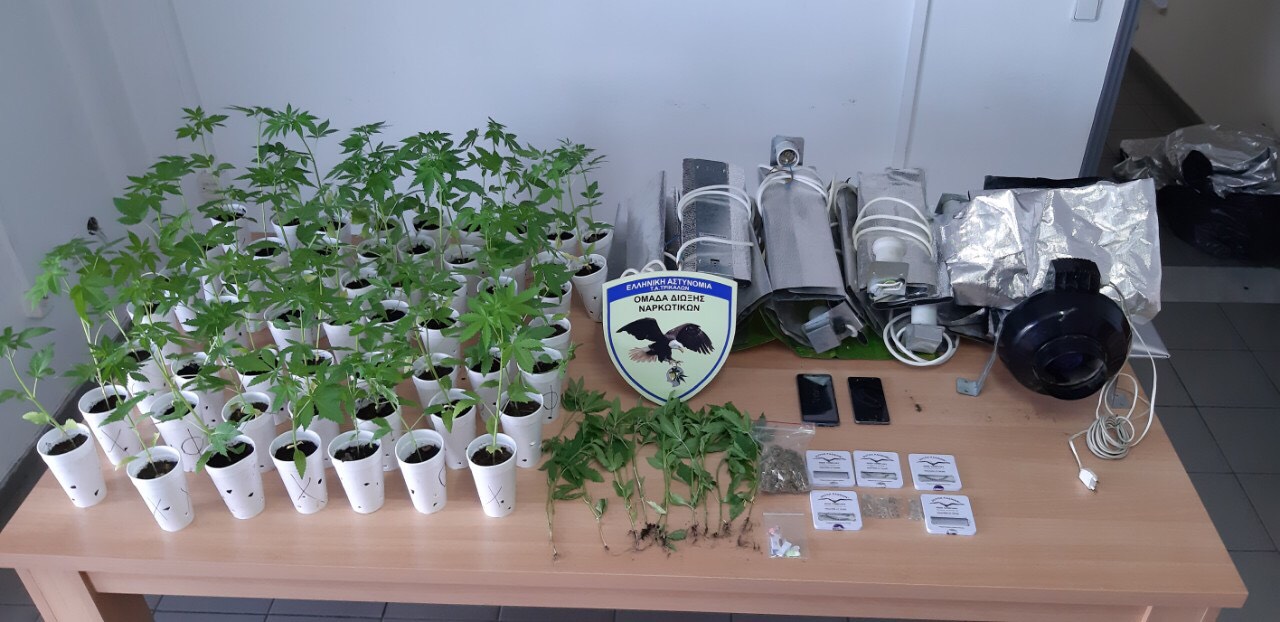 Εντοπίστηκε οργανωμένη φυτεία κάνναβης στα Τρίκαλα