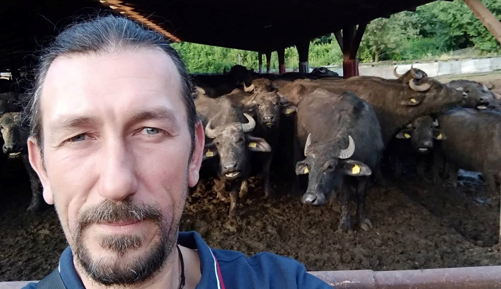 «Ανάρπαστα» τα προϊόντα νεροβούβαλων-Σύγχρονη μονάδα εκτροφής διατηρεί μία οικογένεια στο Δενδροχώρι Τρικάλων