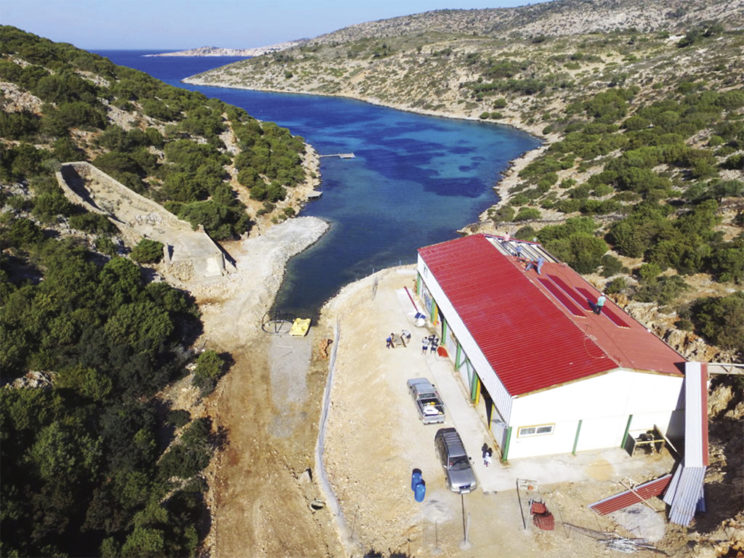 Στους Λειψούς δημιουργείται το πρώτο στον κόσμο καταφύγιο απελευθέρωσης αιχμάλωτων δελφινιών    Πηγή:www.dimokratiki.gr