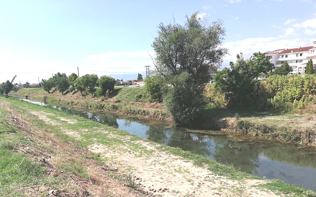 Καθαρισμός Ληθαίου και Αγιαμονιώτη