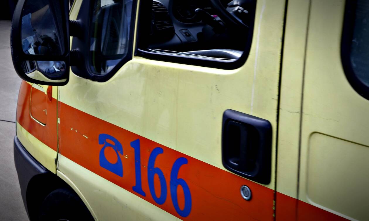 Ρόδος: Ροτβάιλερ επιτέθηκαν σε τουρίστες
