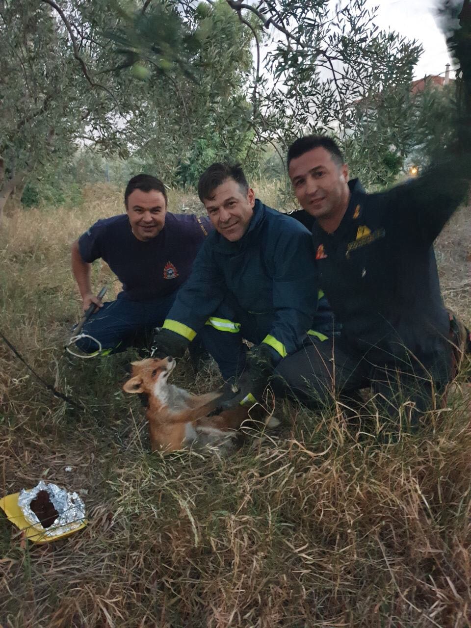 Αλεπού «ποζάρει» ευτυχισμένη με τους πυροσβέστες που την έσωσαν στις Αλυκές