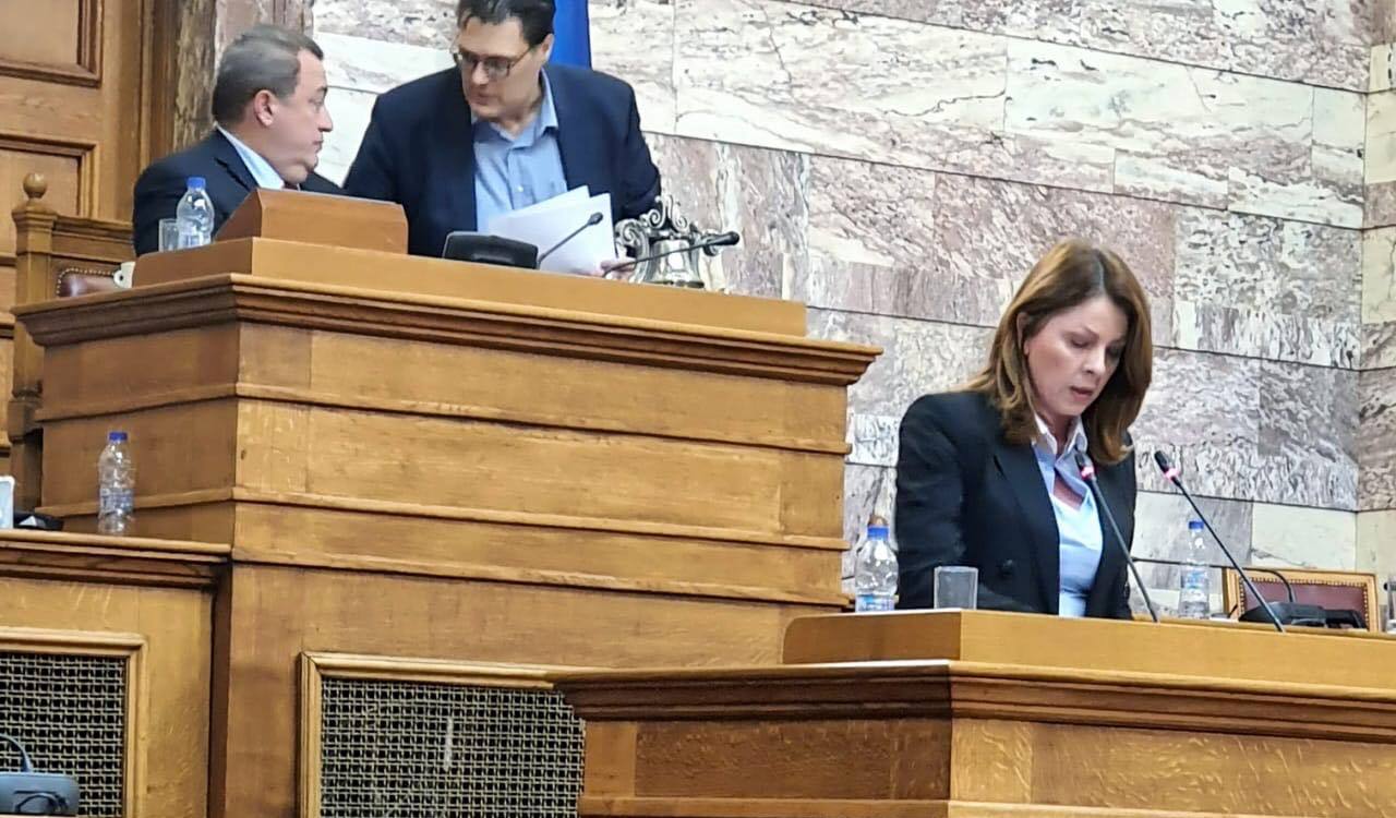 Τοποθέτηση Κατερίνας Παπακώστα για την αναθεώρηση του Συντάγματος