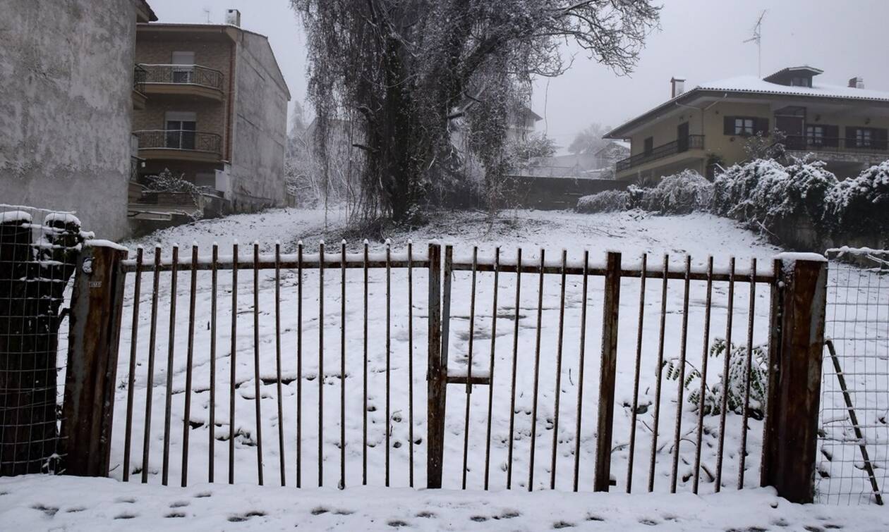 Ζηνοβία: Αρκτική εισβολή από την Παρασκευή – Πού θα χτυπήσει η κακοκαιρία