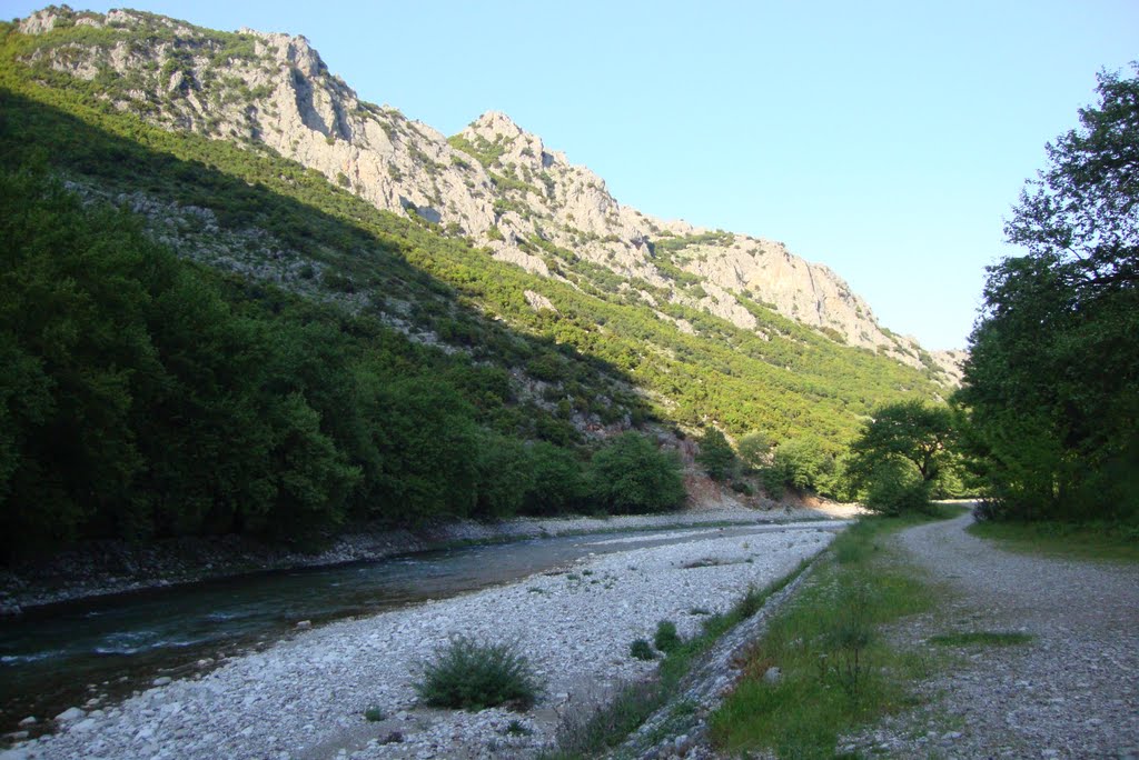 Απομάκρυνση παλιών ελαστικών αυτοκινήτων από τον Πορταϊκό ποταμό
