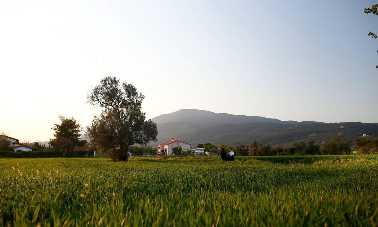 Καιρός: Ηλιόλουστη η Παρασκευή – Η θερμοκρασία θα φτάσει τους 20 βαθμούς