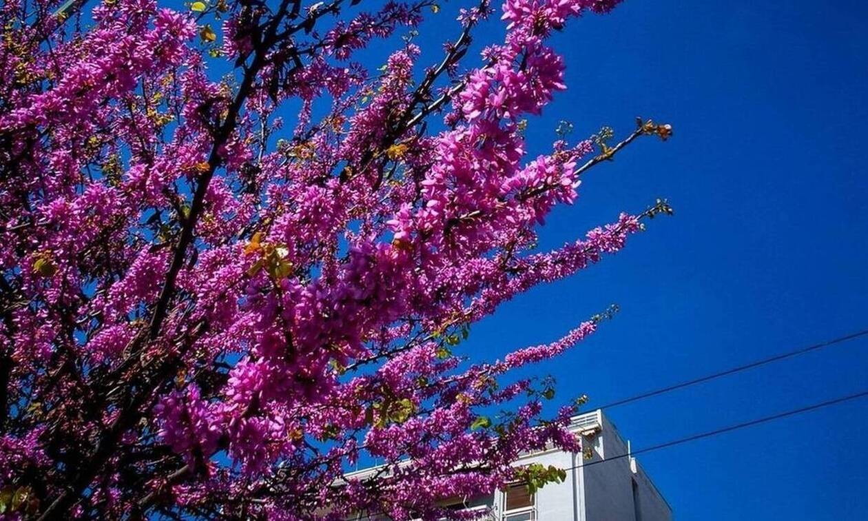 Τι καιρό θα κάνει τη Μεγάλη Εβδομάδα – Δείτε την πρόβλεψη (ΧΑΡΤΕΣ)