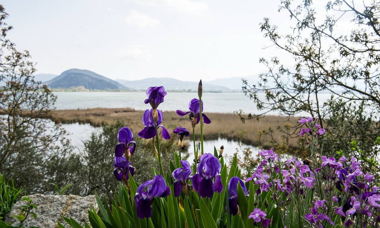 Καιρός: Πρωτομαγιά με ηλιοφάνεια και 27 βαθμούς – Πού και πότε θα βρέξει (pics)