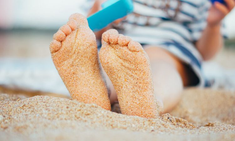 Όλα όσα πρέπει να γνωρίζετε για τις μυρμηγκιές