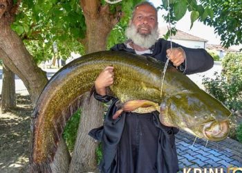 Ψάρι – γίγα 35 κιλών «έβγαλε» Ιερέας από τον Πηνειό ποταμό στα Τρίκαλα