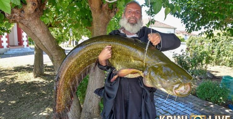 Ψάρι – γίγα 35 κιλών «έβγαλε» Ιερέας από τον Πηνειό ποταμό στα Τρίκαλα