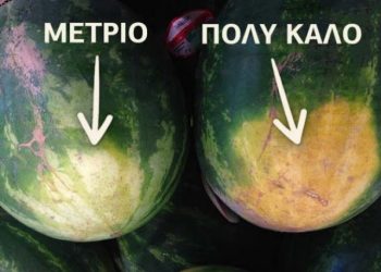 5 τρόποι για ναα διαλέξεις το καλύτερο καρπούζι