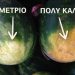 5 τρόποι για ναα διαλέξεις το καλύτερο καρπούζι