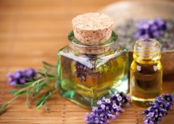 10 έξυπνα κόλπα για να καταπολεμήσετε τα κουνούπια με φυσικό τρόπο