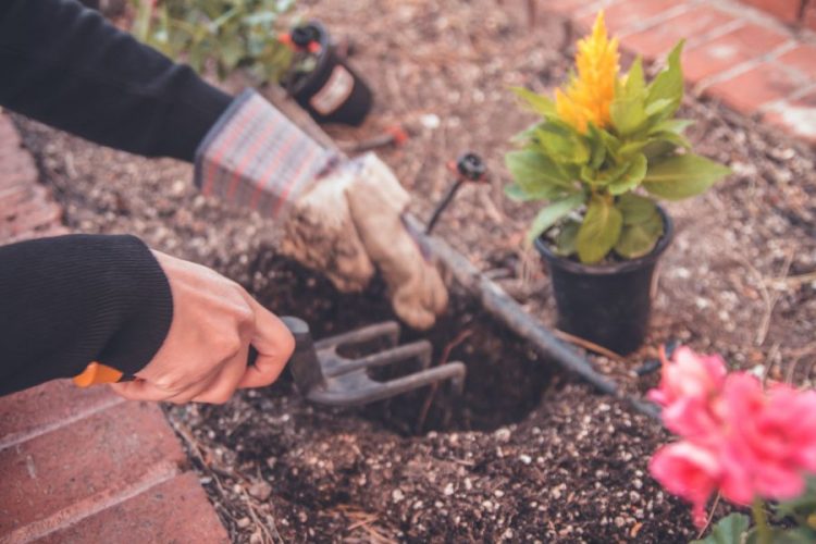 DIY: 23 ιδανικές ιδέες για τον κήπο σου