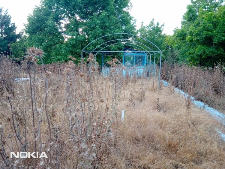 Λαϊκή Συσπείρωση: Εικόνες ντροπής στο πρώην πάρκο άθλησης και ψυχαγωγίας Μεγαλοχωρίου!!!