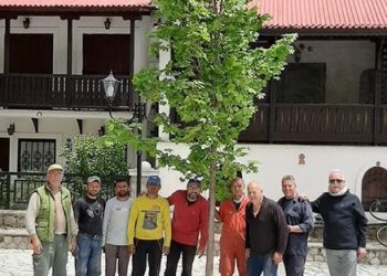 Νέος πλάτανος φυτεύτηκε στην Αθαμανία αντικαθιστώντας τον πλάτανο που αρρώστησε