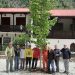 Νέος πλάτανος φυτεύτηκε στην Αθαμανία αντικαθιστώντας τον πλάτανο που αρρώστησε