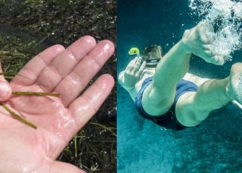 Βρώμικη θάλασσα: Πώς θα καταλάβουμε αν τα νερά που κολυμπάμε είναι καθαρά ή βρώμικα