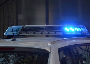 Φρίκη: Σκότωσε 8χρονο κοριτσάκι επειδή ελευθέρωσε τους παπαγάλους του