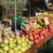 o προσωρινός πίνακας των κενών θέσεων της Λαϊκής Αγοράς Πύλης