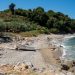 Λάρισα: Η μικρή «μυστική» παραλία άγριας ομορφιάς με τον «θαλασσόλυκο» που κρατάει «Θερμοπύλες» – Φωτορεπορτάζ