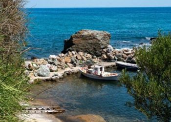 Λάρισα: Το μικρό γραφικό λιμανάκι στο Πολυδένδρι σαν καρτ ποστάλ – Φωτορεπορτάζ