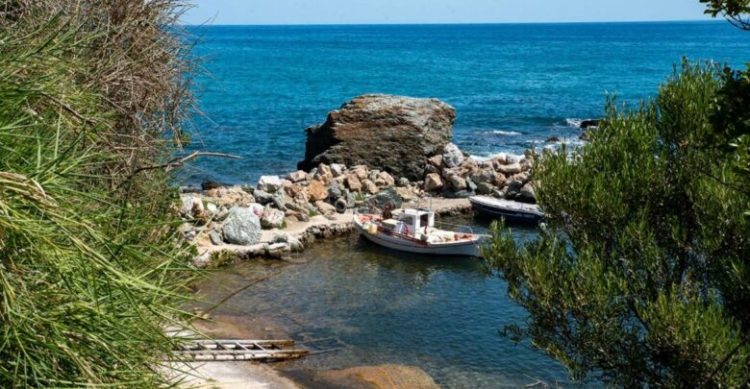 Λάρισα: Το μικρό γραφικό λιμανάκι στο Πολυδένδρι σαν καρτ ποστάλ – Φωτορεπορτάζ