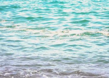 Τι πραγματικά σημαίνει όταν βλέπουμε αφρό στην θάλασσα – Είναι σημάδι πως τα νερά είναι βρώμικα;