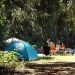 Κορονοϊός – Χαλκιδική: Κλείνει η κατασκήνωση που εντοπίστηκαν κρούσματα