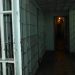 Μελέτη: Σε επίπεδο ρεκόρ ο αριθμός των κρατουμένων για τρομοκρατία σε ευρωπαϊκές χώρες