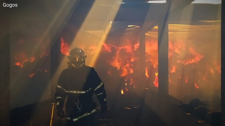 Τρικαλινοί πυροσβέστες μέσα στην πύρινη κόλαση-Φωτογραφίες που συγκλονίζουν