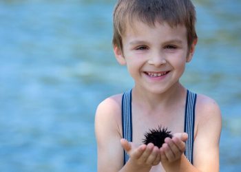 Τι πρέπει να κάνετε αν πατήσετε αχινό – Συμβουλές για γονείς και παιδιά
