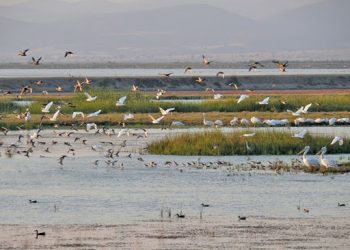 Με 76 υγροτόπους συμμετέχει η Περιφέρεια Θεσσαλίας στο Χάρτη για την ανάδειξη των Υγροτόπων της Βαλκανικής  Μεσογείου