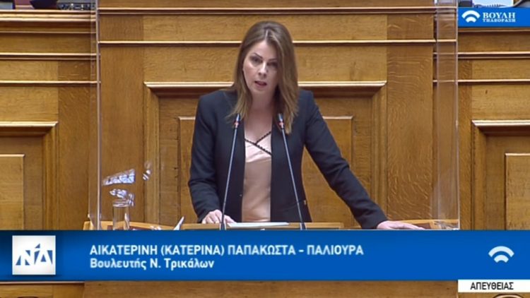 Η Κατερίνα Παπακώστα για το πρόγραμμα “Γέφυρα”