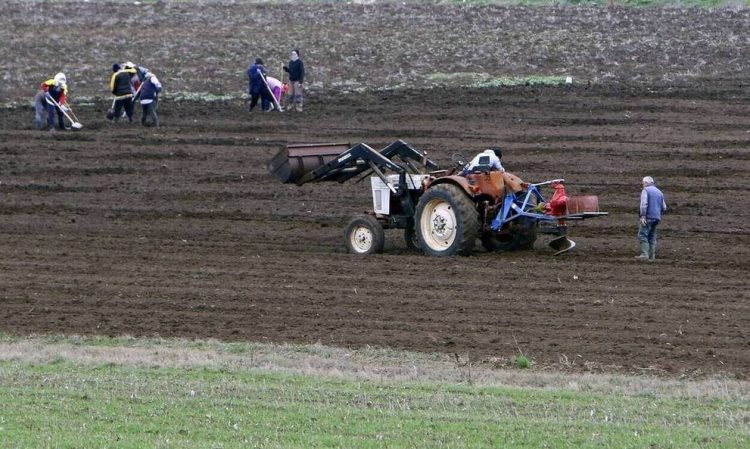Αγρότες: Έκπτωση φόρου έως 2.100 ευρώ – Ποιοι είναι οι δικαιούχοι