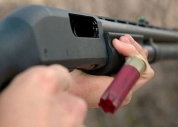 Σε χωριό των Τρικάλων… έπιασε το αεροβόλο και πυροβολούσε