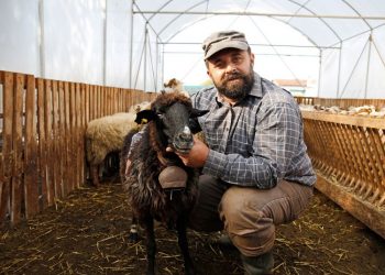 Ο επίμονος βοσκός των Τρικάλων